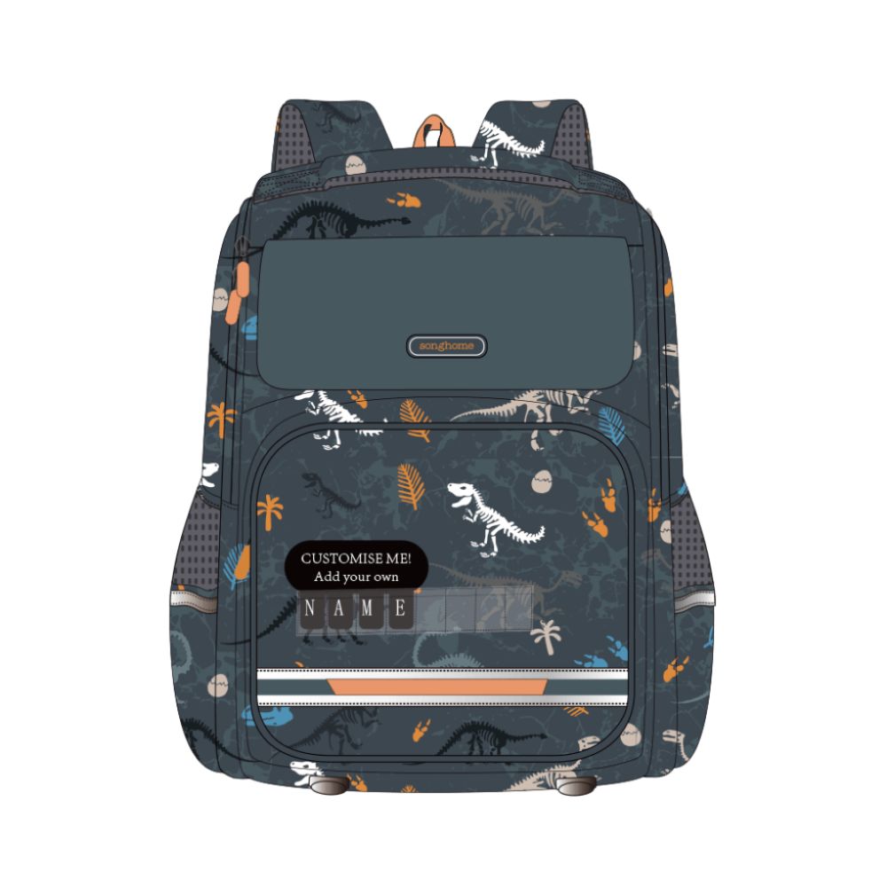 Kids’ Favorite Dinosaur Print School Bag